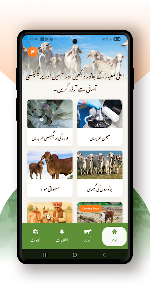 DayZee Farms screen 2